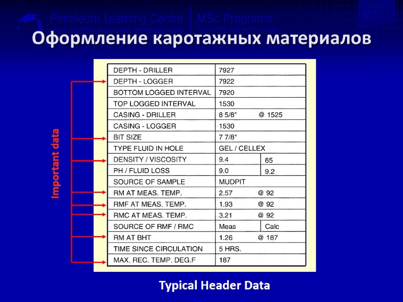 Оформление каротажных материалов Typical Header Data Important data
